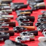 En la Cañada, un puma mata a niño de doce años