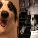 Auxilia policía de Alta Montaña a 7 personas extraviadas en el volcán Xinantécatl: SSE