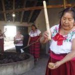 Estrategia del Bienestar avanza a lo largo del Tren Maya