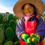 Benito Juárez es el espíritu de la Primavera Oaxaqueña: Salomón Jara