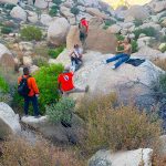 Culmina con gran éxito la Guelaguetza 2023; miles de personas disfrutaron de una fiesta sin igual