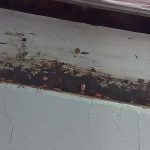 Sergio Pérez, séptimo en dominio de Ferrari en el GP de Singapur