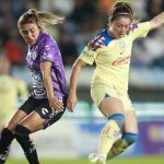 Cruz Roja extenderá por un año ayuda en Guerrero, asegura Carlos Freaner