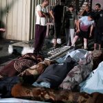 Sheinbaum me cepilló hasta a mí: AMLO