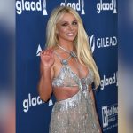 Así operó la corrupción en Cofepris durante 20 años; tomará una semana acabarla