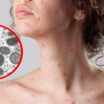 Llegarían a México alrededor de 83 millones de turistas internacionales este 2024