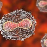 Tifón Bebinca azota Shanghái con inundaciones y apagones