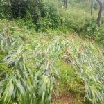 “La Chilindrina” se pone exigente en Sale el sol