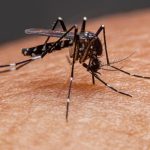 Bella Ramsey tiene autismo