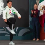 Fan sufre grave percance en concierto: el artista suspende el show en vivo